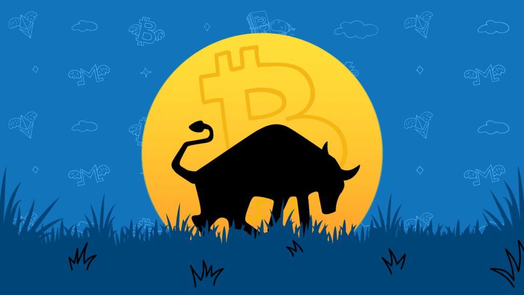 the next crypto bull run