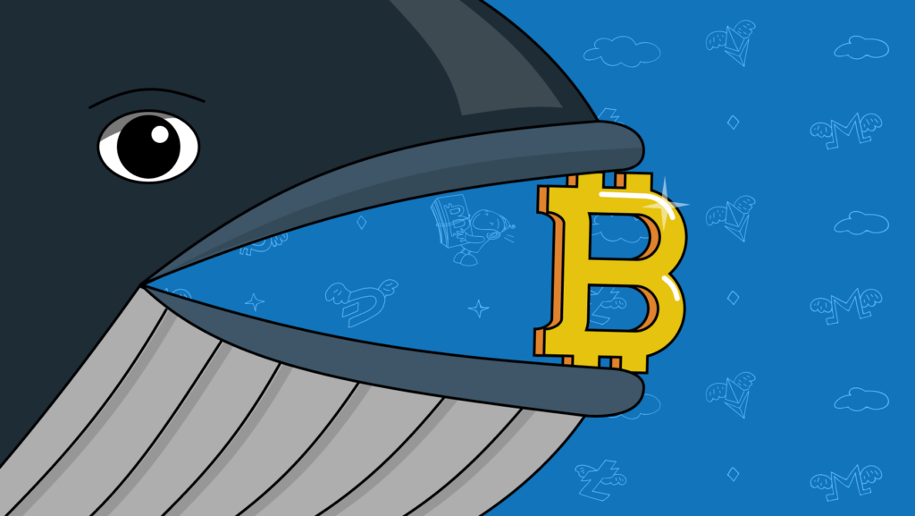 Crypto whale addresses bitcoin article new york times