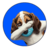 $HOUND
