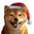SMAS