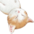 TPCAT